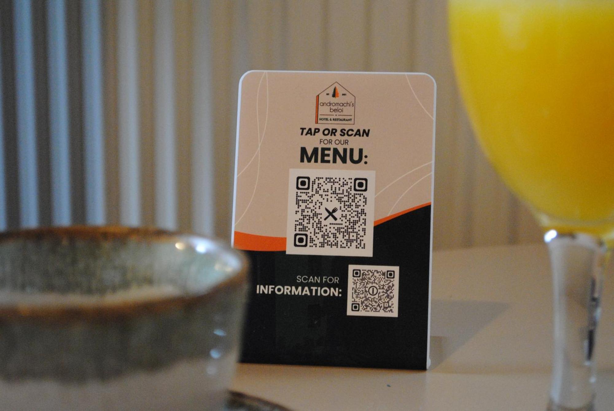 Andromachi'S Beloi Hotel Vitsa Zewnętrze zdjęcie