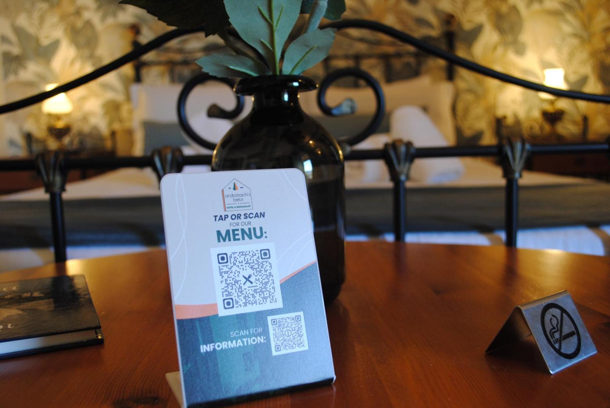 Andromachi'S Beloi Hotel Vitsa Zewnętrze zdjęcie