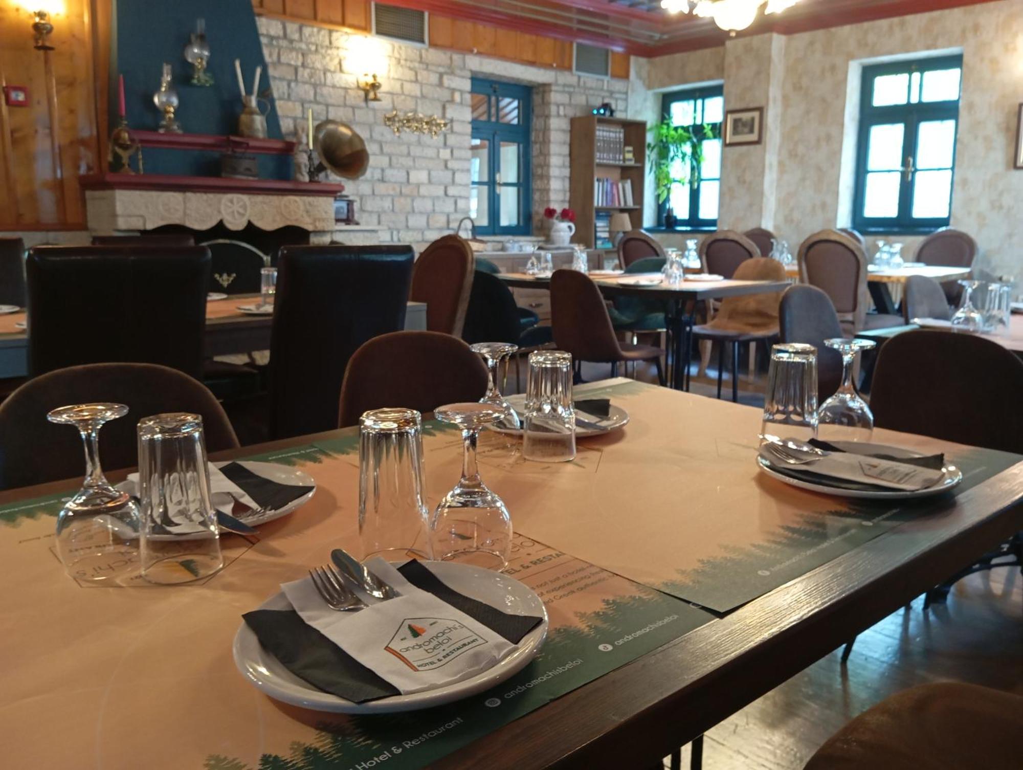 Andromachi'S Beloi Hotel Vitsa Zewnętrze zdjęcie